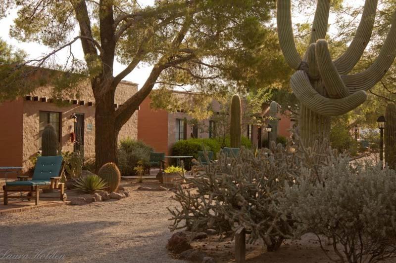 White Stallion Ranch Bed & Breakfast Tucson Exterior photo