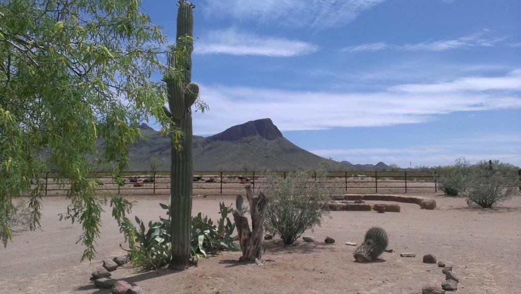 White Stallion Ranch Bed & Breakfast Tucson Exterior photo