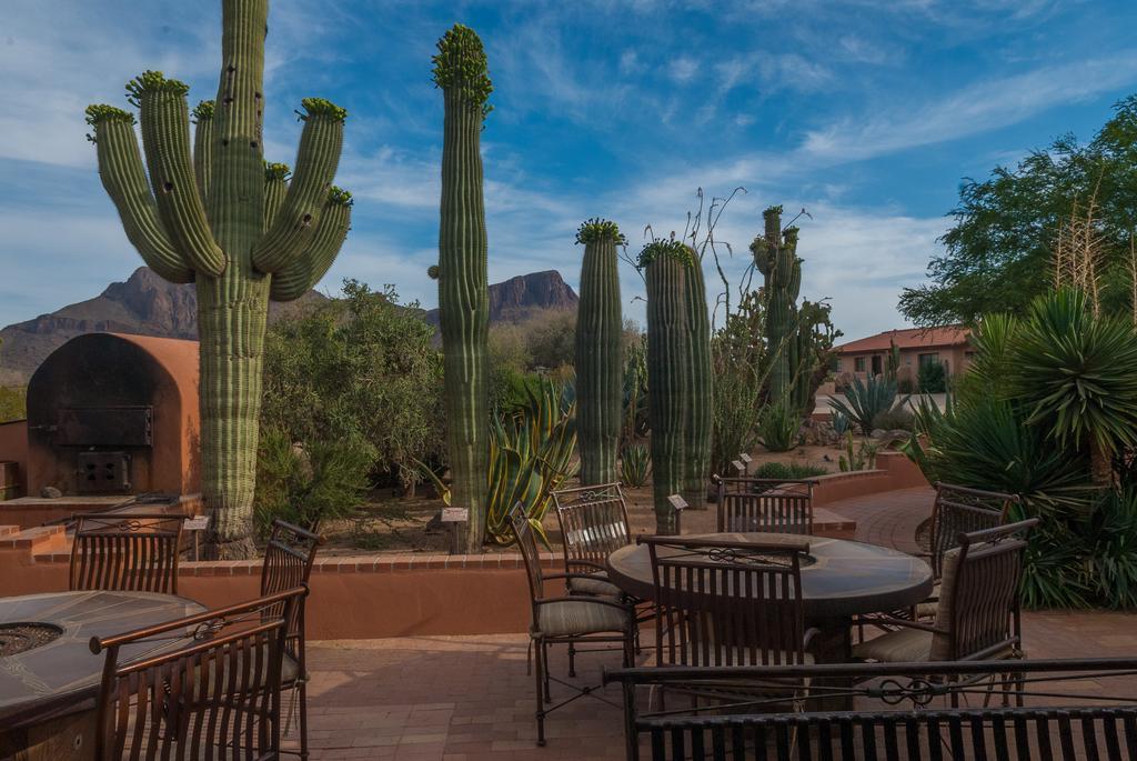 White Stallion Ranch Bed & Breakfast Tucson Exterior photo