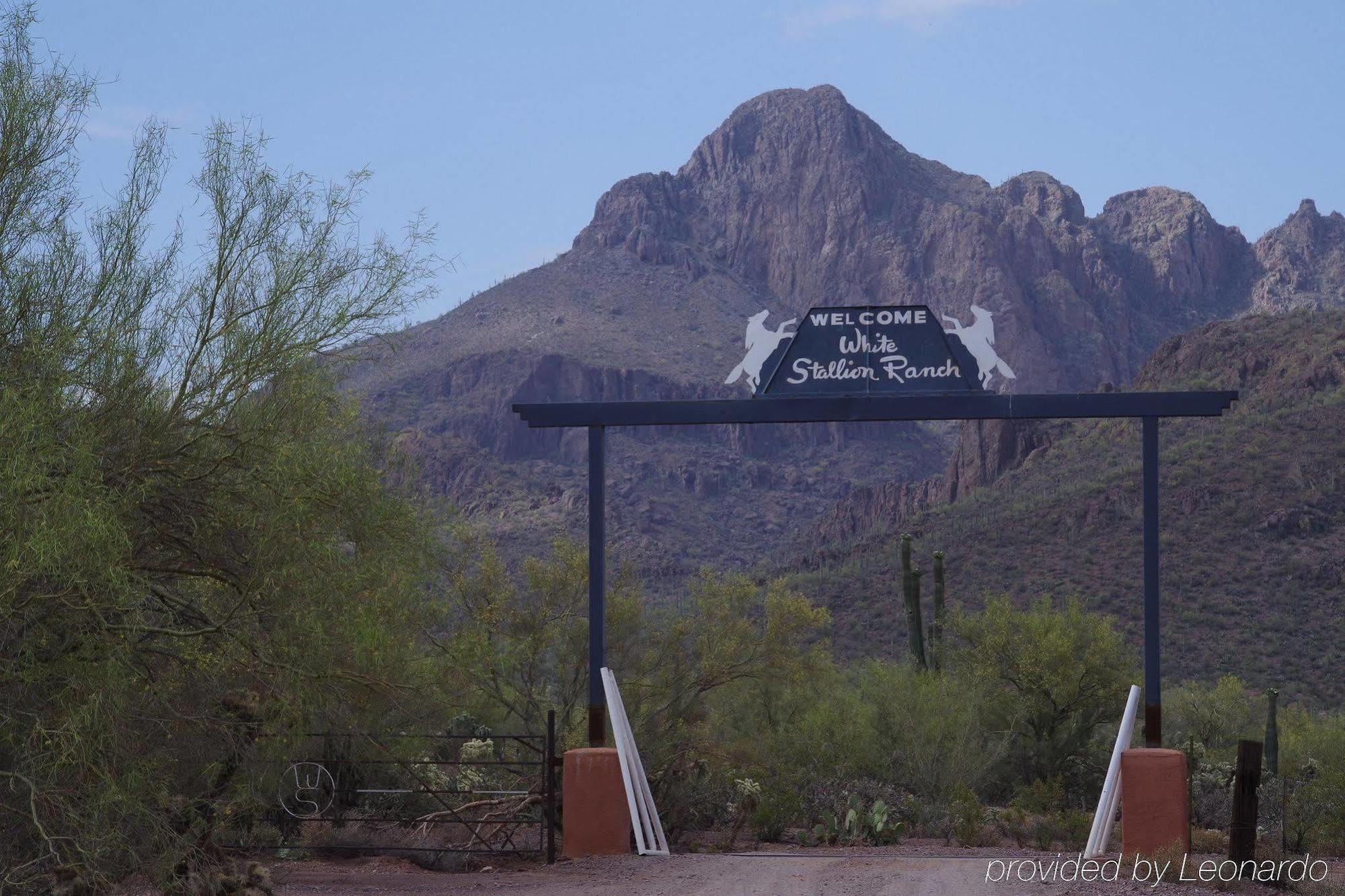 White Stallion Ranch Bed & Breakfast Tucson Exterior photo