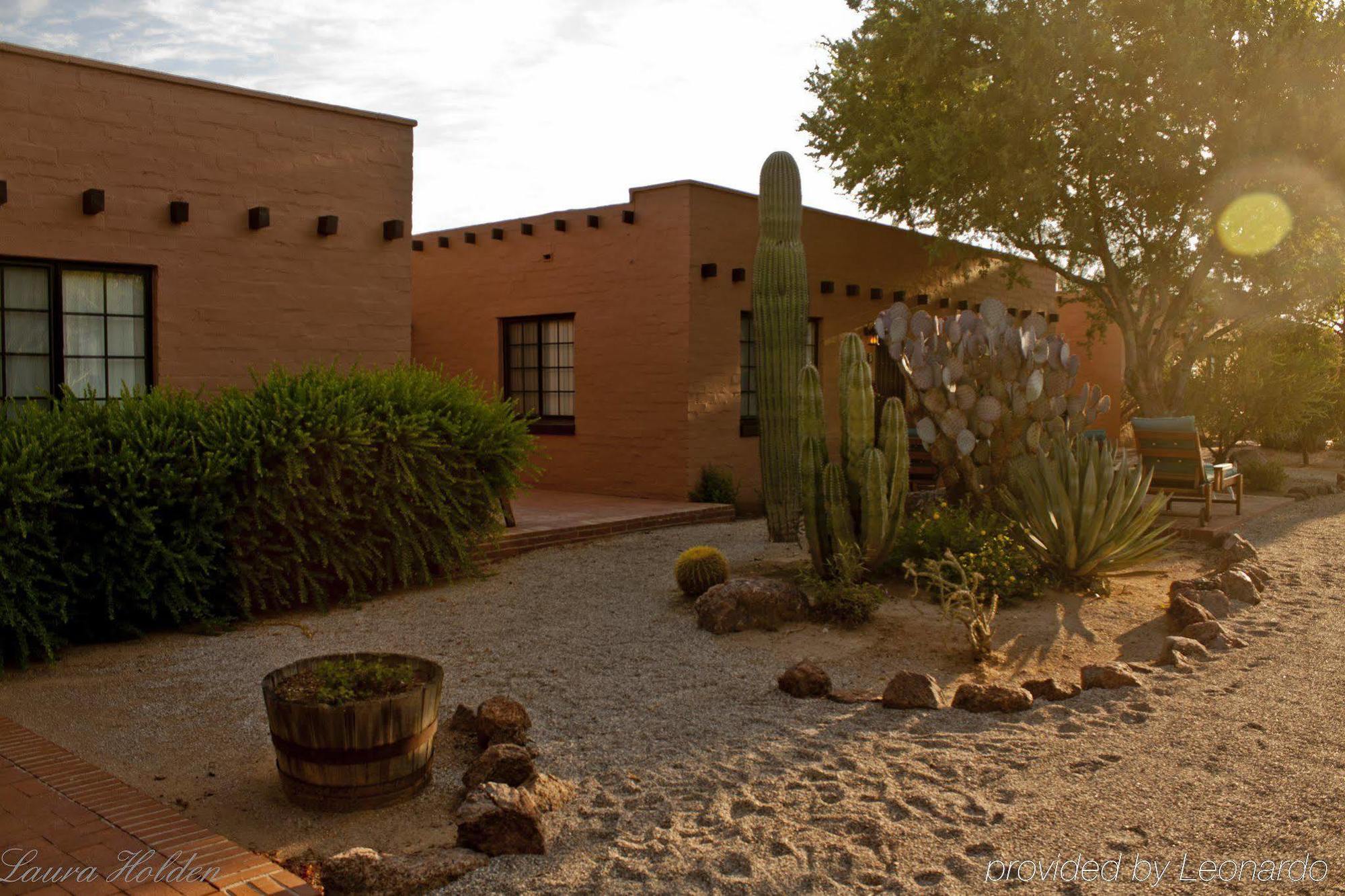 White Stallion Ranch Bed & Breakfast Tucson Exterior photo