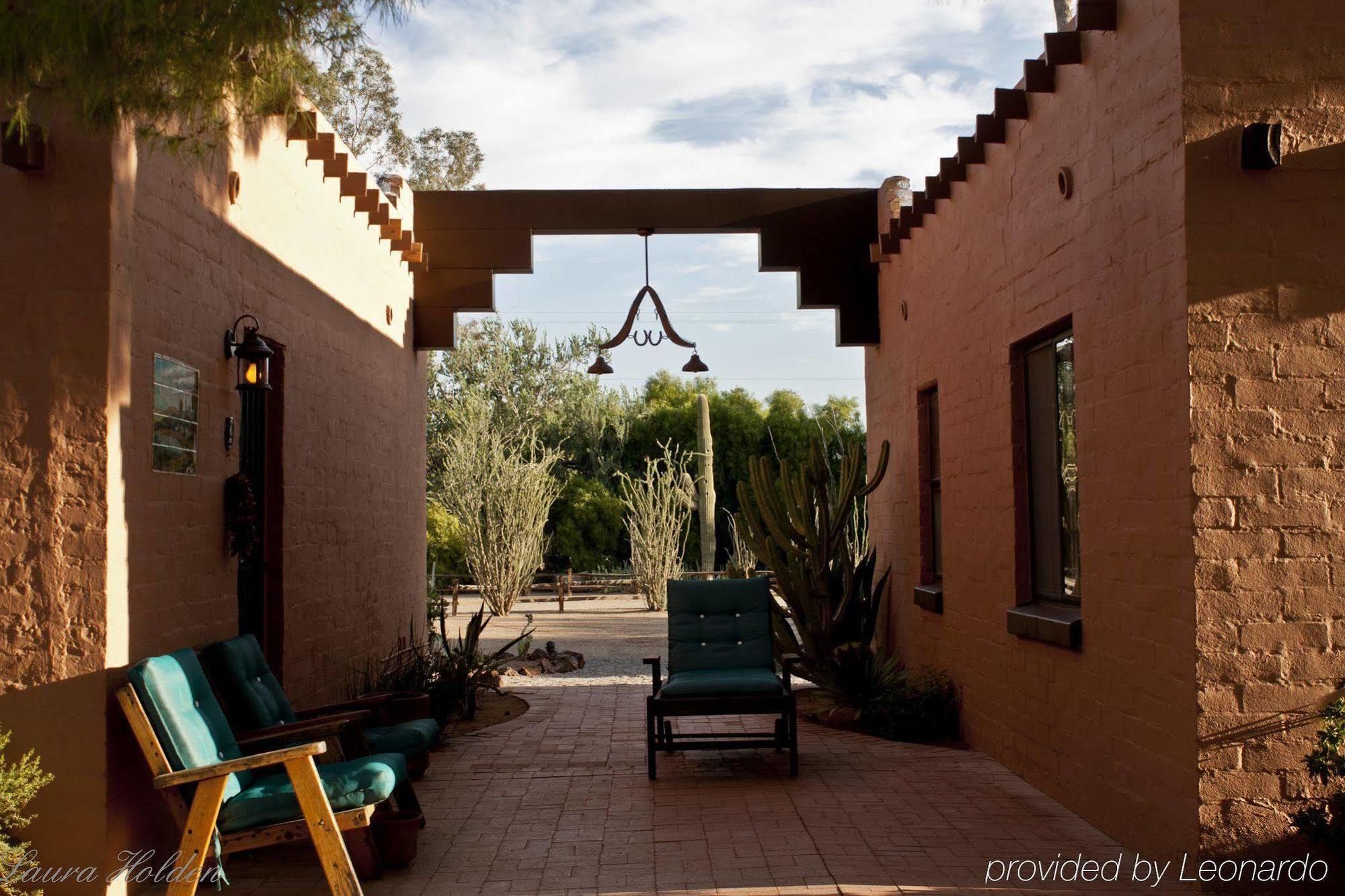 White Stallion Ranch Bed & Breakfast Tucson Exterior photo