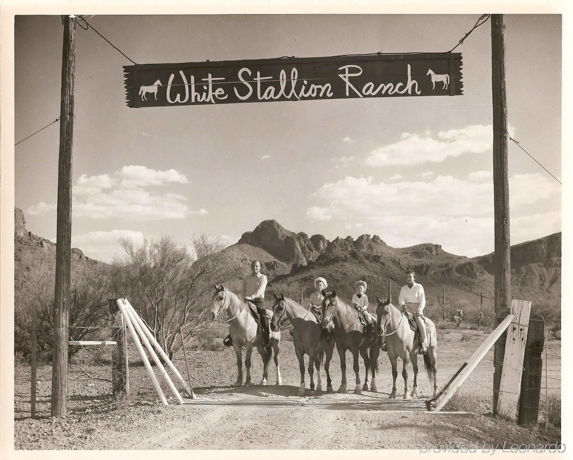 White Stallion Ranch Bed & Breakfast Tucson Exterior photo