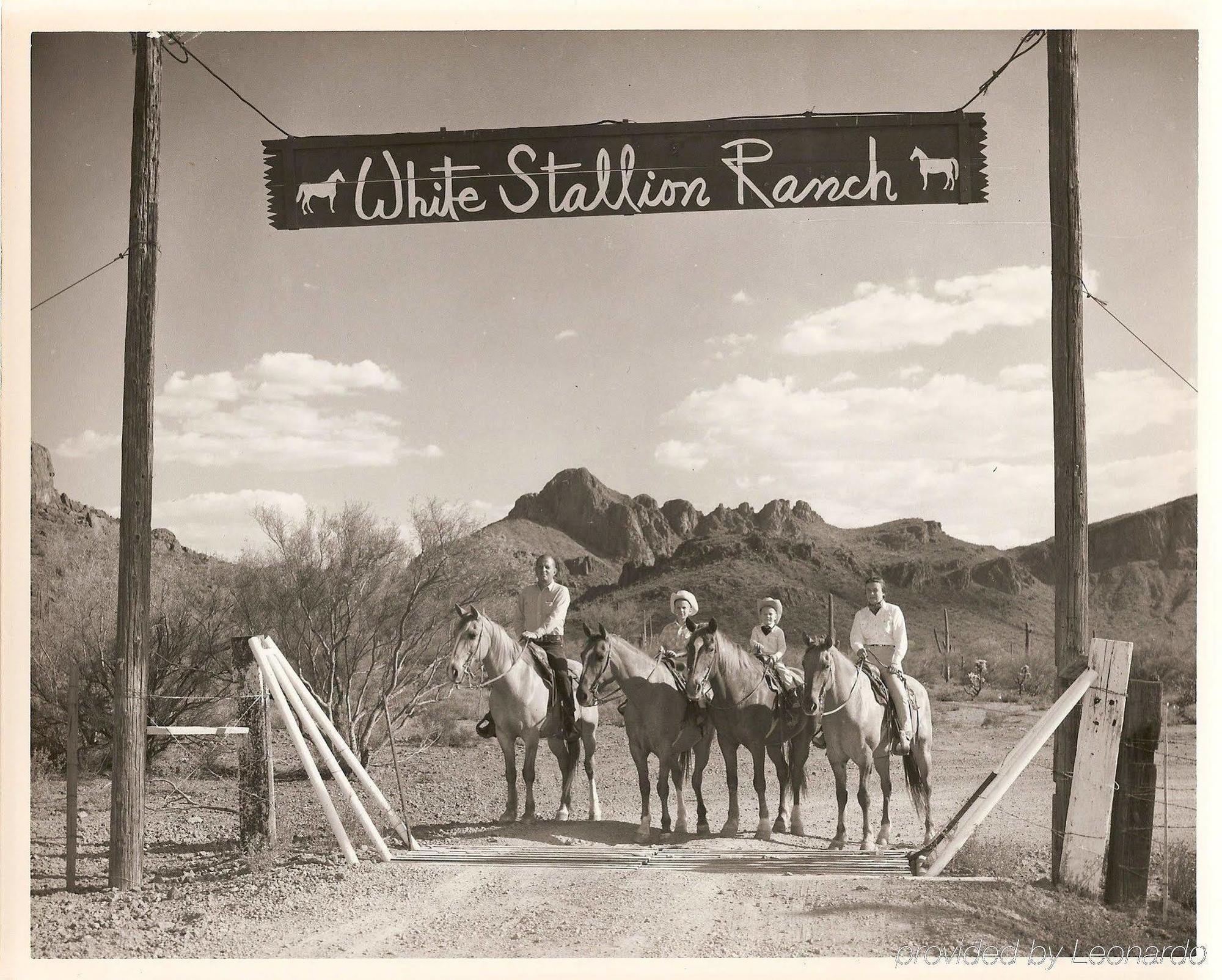 White Stallion Ranch Tucson Exterior photo