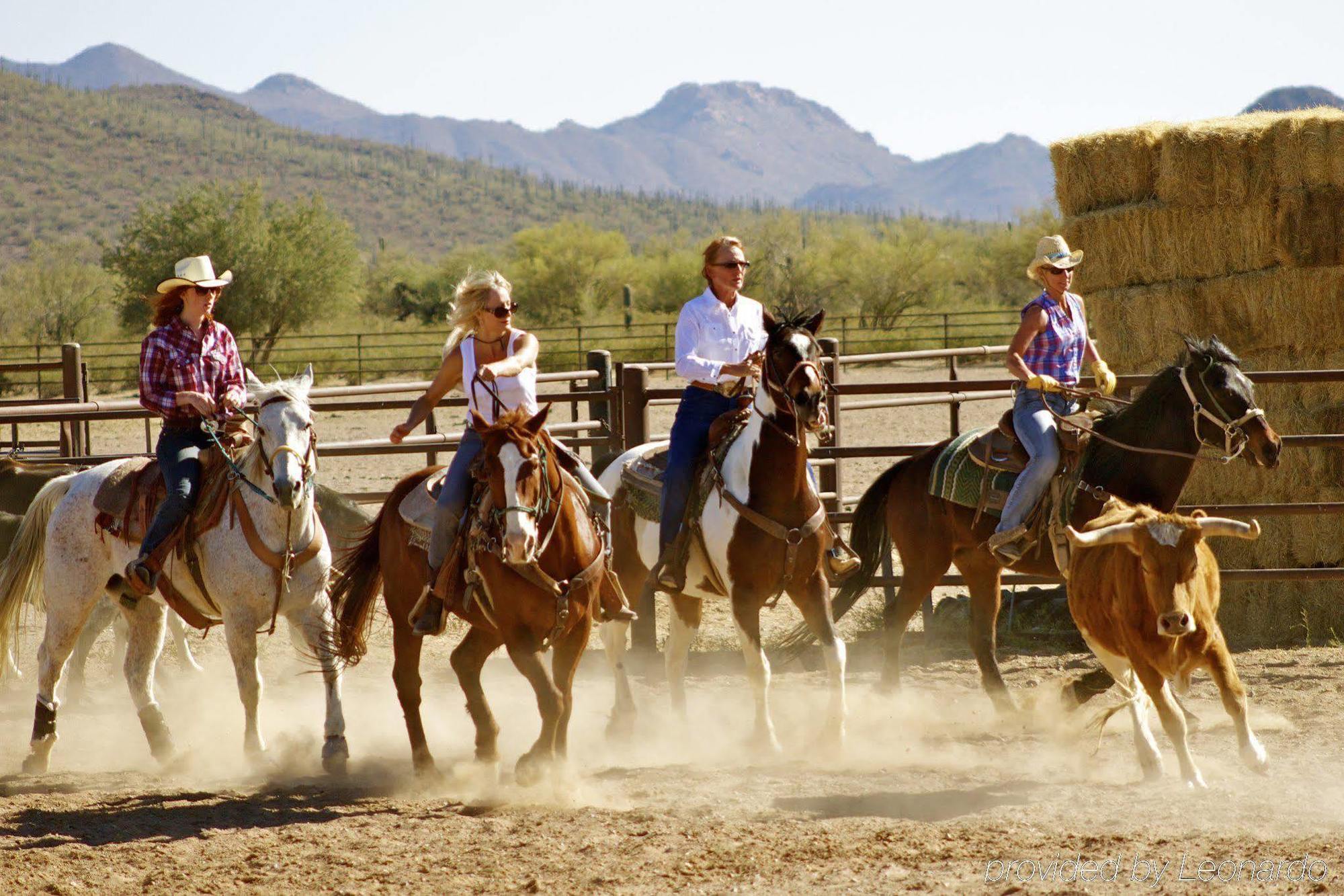 White Stallion Ranch Bed & Breakfast Tucson Exterior photo