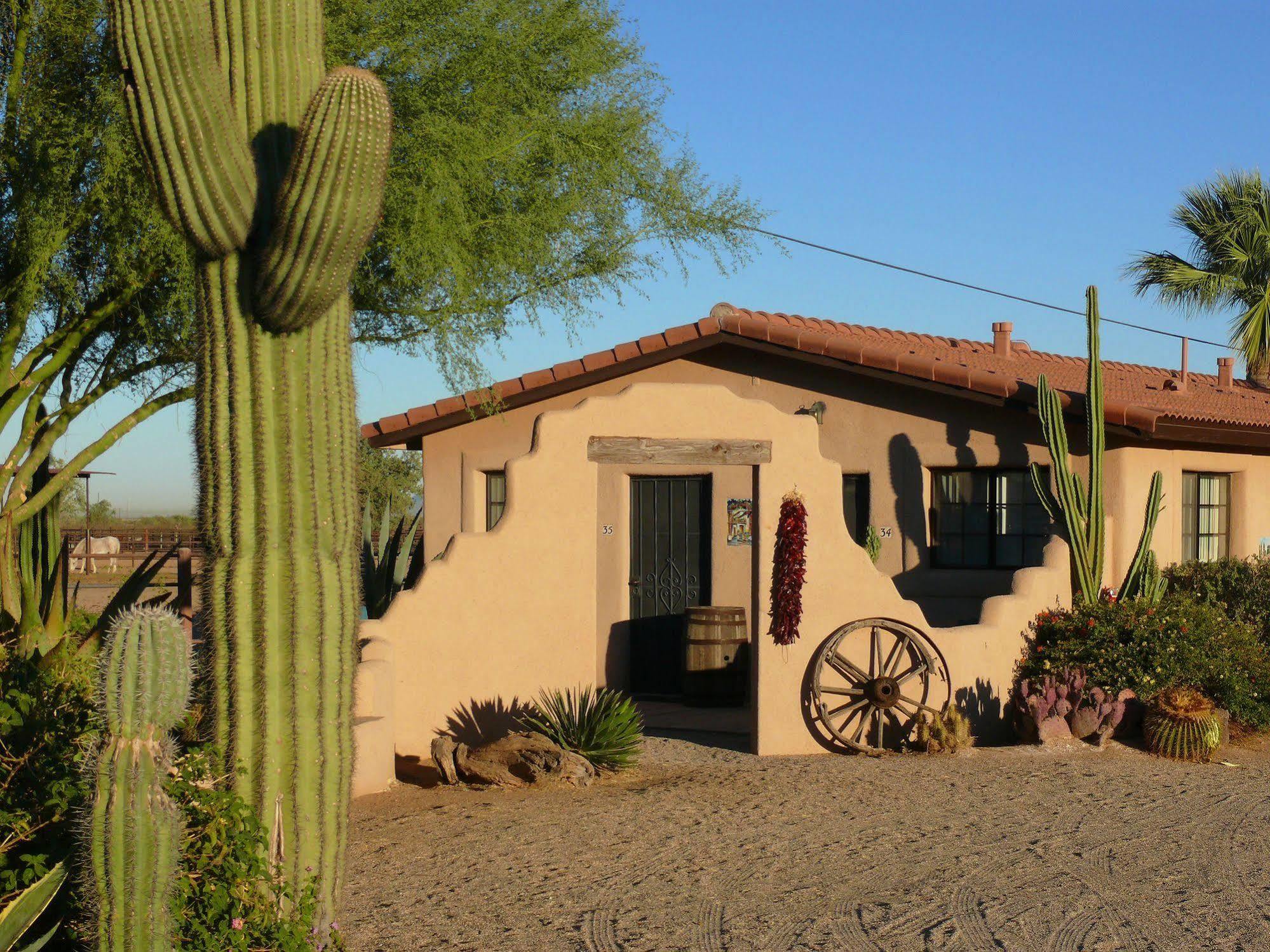 White Stallion Ranch Bed & Breakfast Tucson Exterior photo