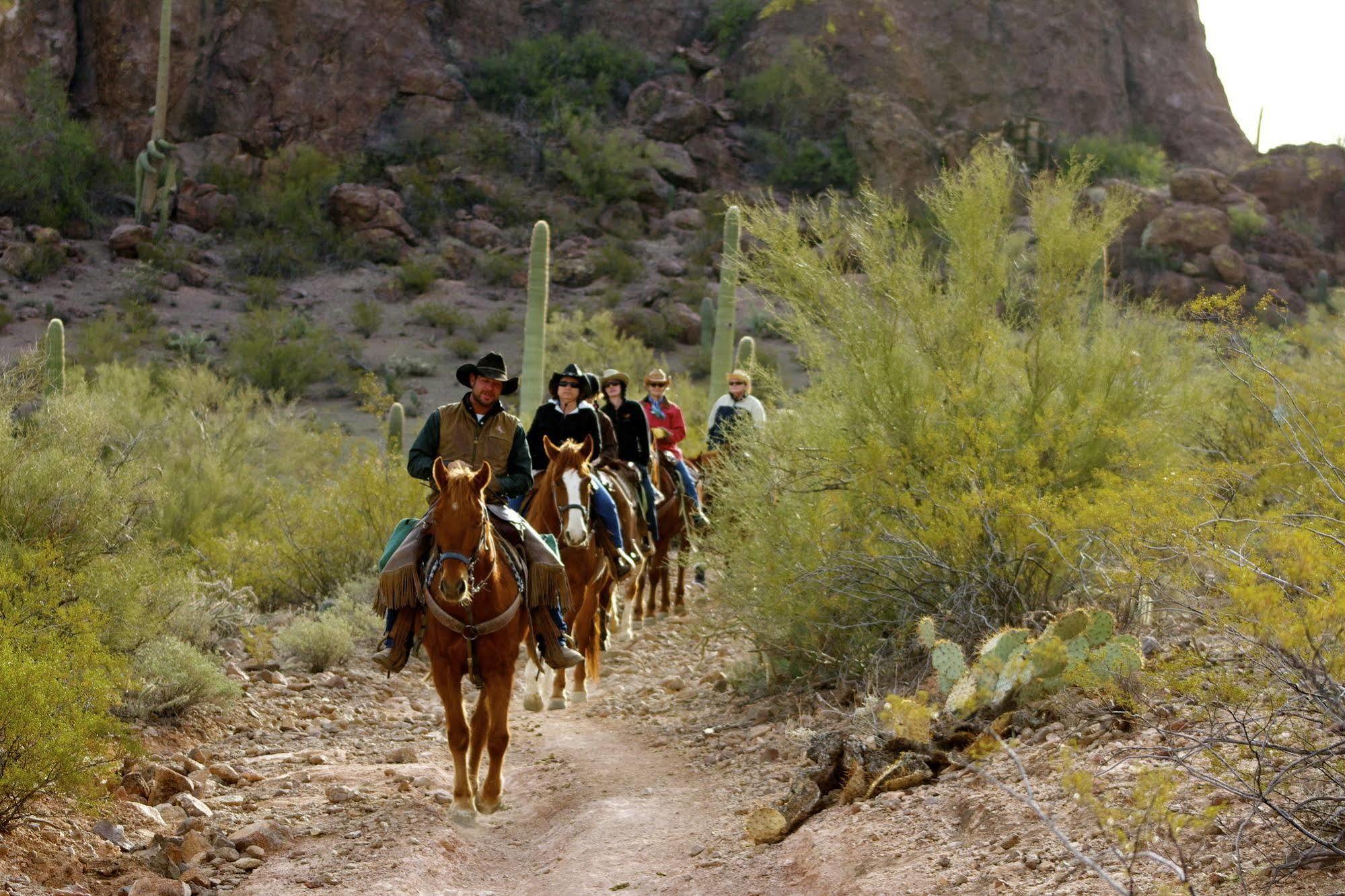 White Stallion Ranch Bed & Breakfast Tucson Exterior photo